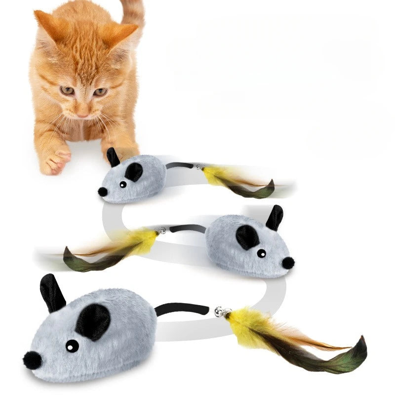 Cat Toys